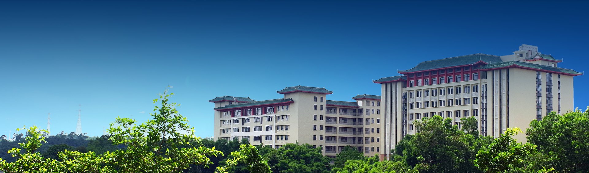 星空网官网登录入口星空新人权益部